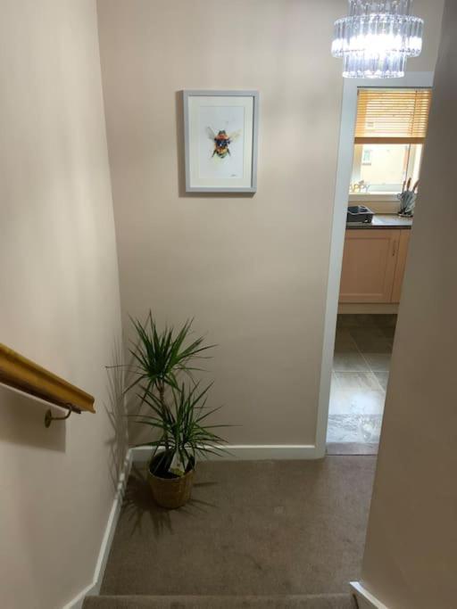 Home From Home, 3 Bedroom House In ホーイック エクステリア 写真
